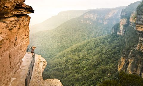 national pass blue mountains