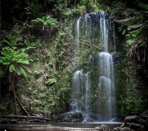 beauchampfalls christophermaxwell