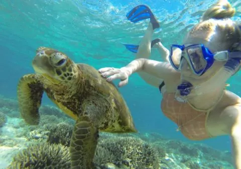 Lady Musgrave Island