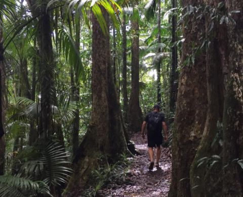 eungella national park theTravelAlbum