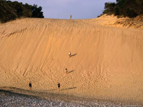 great sandy national park wayne walton