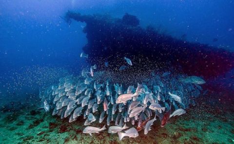 townsville shipwreck