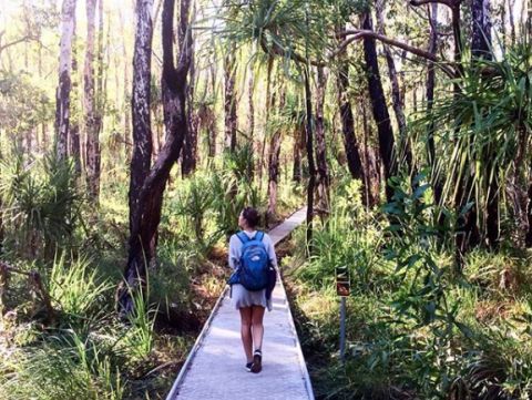 Elsey National Park walks