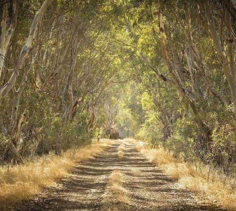 The Grampians, Victoria. georgie mann photos